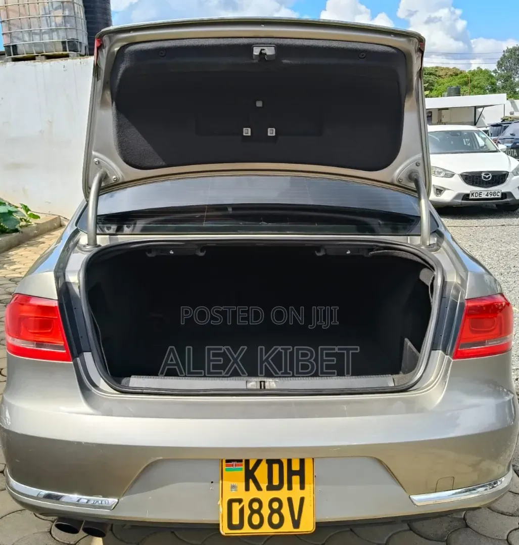 Volkswagen Passat 2014 Beige