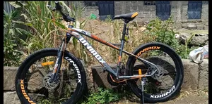 Selling My Bike Call