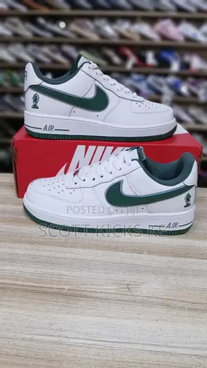 Nike Airforce Lebron James