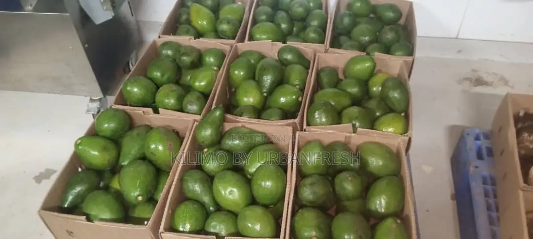 Export Ready Premium Reliable East A.Vegetables, Fruits , Cereals.