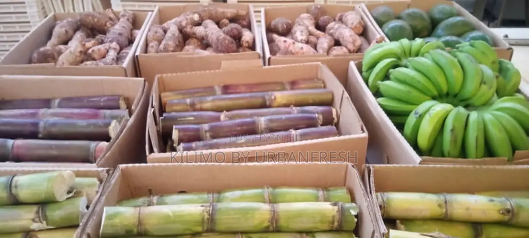 Export Ready Premium Reliable East A.Vegetables, Fruits , Cereals.