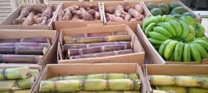 Export Ready Premium Reliable East A.Vegetables, Fruits , Cereals.