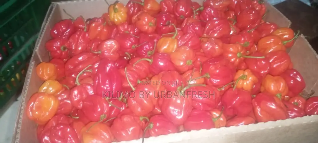 Export Ready Premium Reliable East A.Vegetables, Fruits , Cereals.