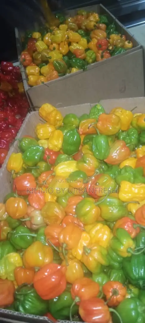 Export Ready Premium Reliable East A.Vegetables, Fruits , Cereals.