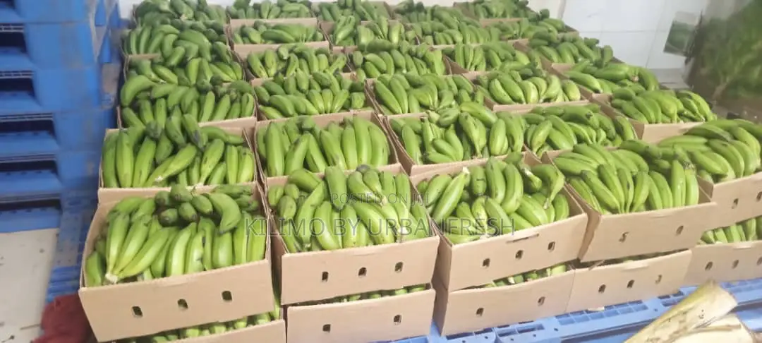 Export Ready Premium Reliable East A.Vegetables, Fruits , Cereals.