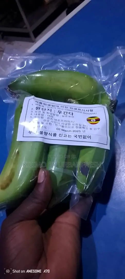 Export Ready Vacuum Packed : Unpeeled / Peeled/ Frozen / Boiled Packs.