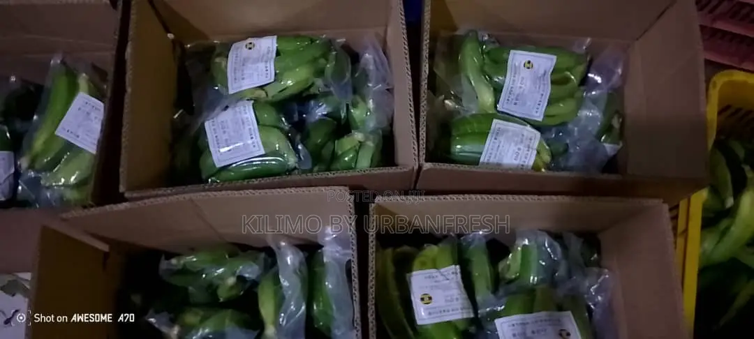 Export Ready Vacuum Packed : Unpeeled / Peeled/ Frozen / Boiled Packs.