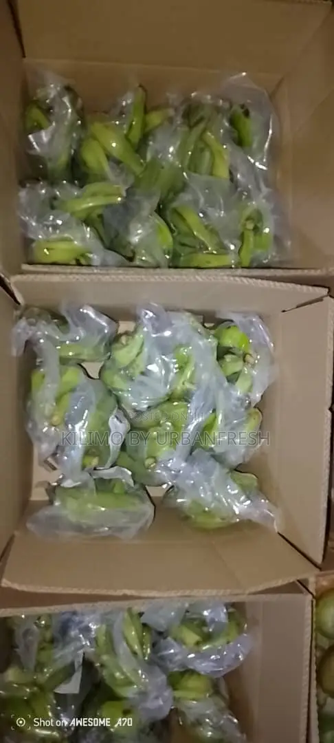 Export Ready Vacuum Packed : Unpeeled / Peeled/ Frozen / Boiled Packs.