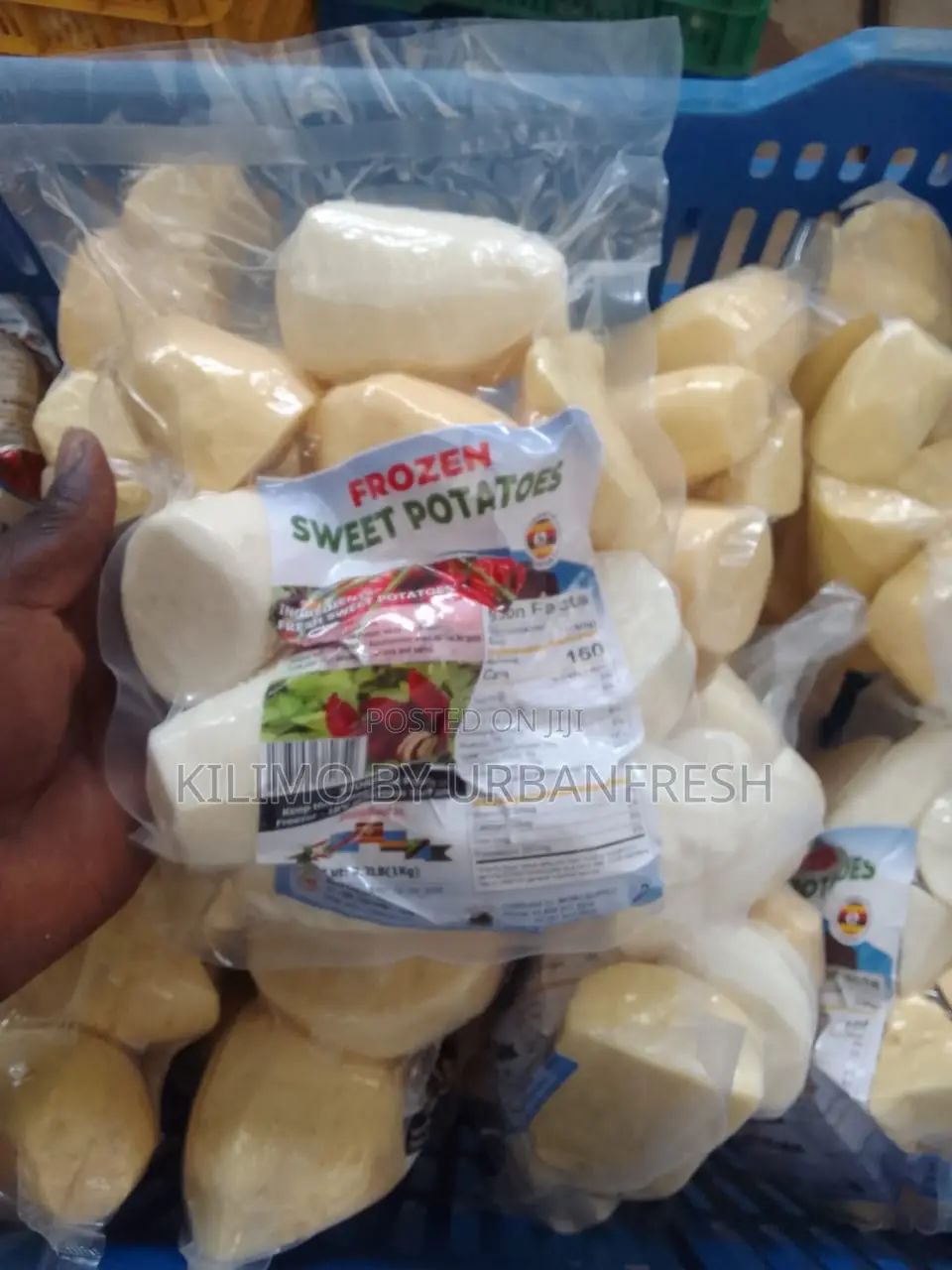 Export Ready Vacuum Packed : Unpeeled / Peeled/ Frozen / Boiled Packs.