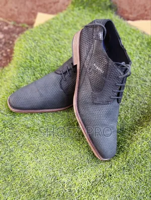 Official / Casual Shoes