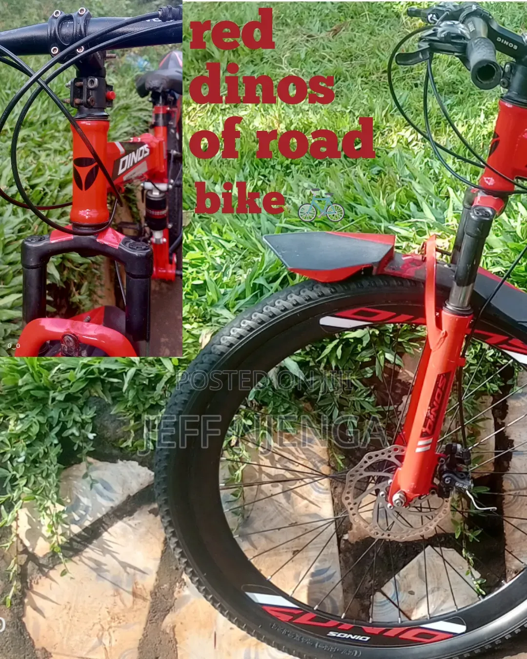 Ofroad Dinos Premium Red Bike