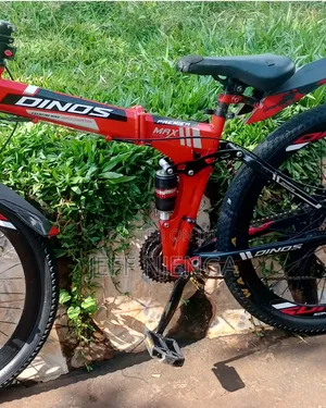Ofroad Dinos Premium Red Bike