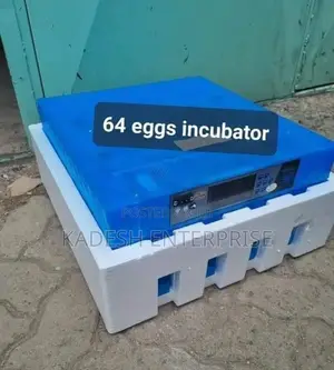 Low Power-64 Eggs Incubator