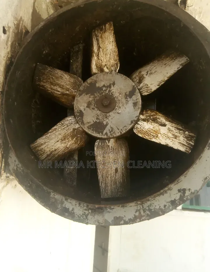 A Pro Cleaning Grease/Oil Removal on Surfaces and Kitchen Appliances