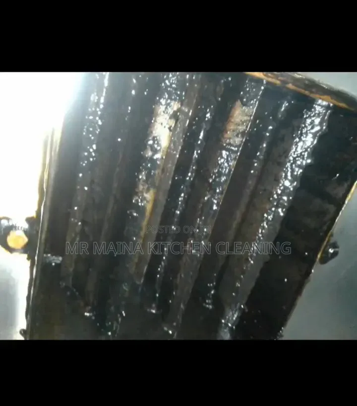 A Pro Cleaning Grease/Oil Removal on Surfaces and Kitchen Appliances