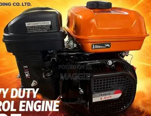 Heavy Duty Petrol Engine Premier 172f