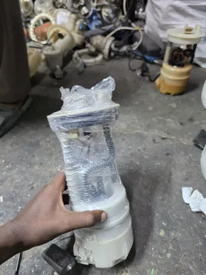 Fuel Ump for Dualis