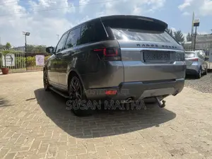 Rover Land 2017 Gray