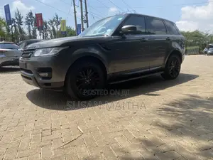 Rover Land 2017 Gray