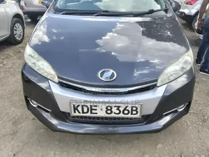 Toyota Wish 2013 Gray