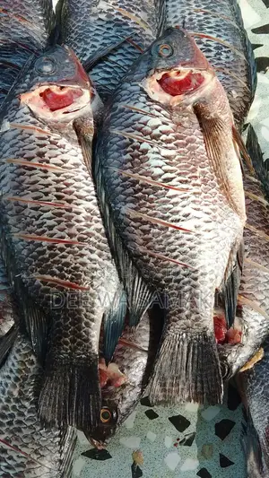 Fresh Fish,Nile Perch Omena Seller Deep Fried Omena Fish Available