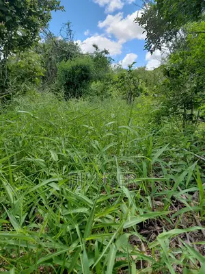 Plot 100 by 100 for Sale.Utawala.