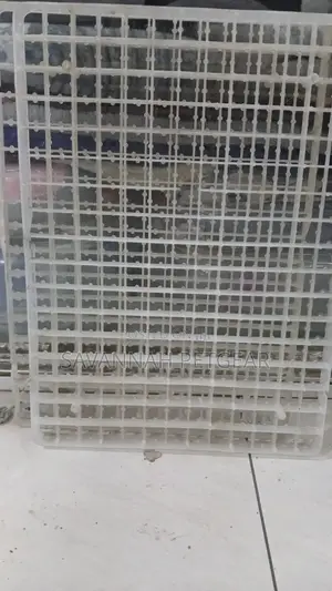 Brand New Plastic Egg Setter Trays for 211 Quail Eggs