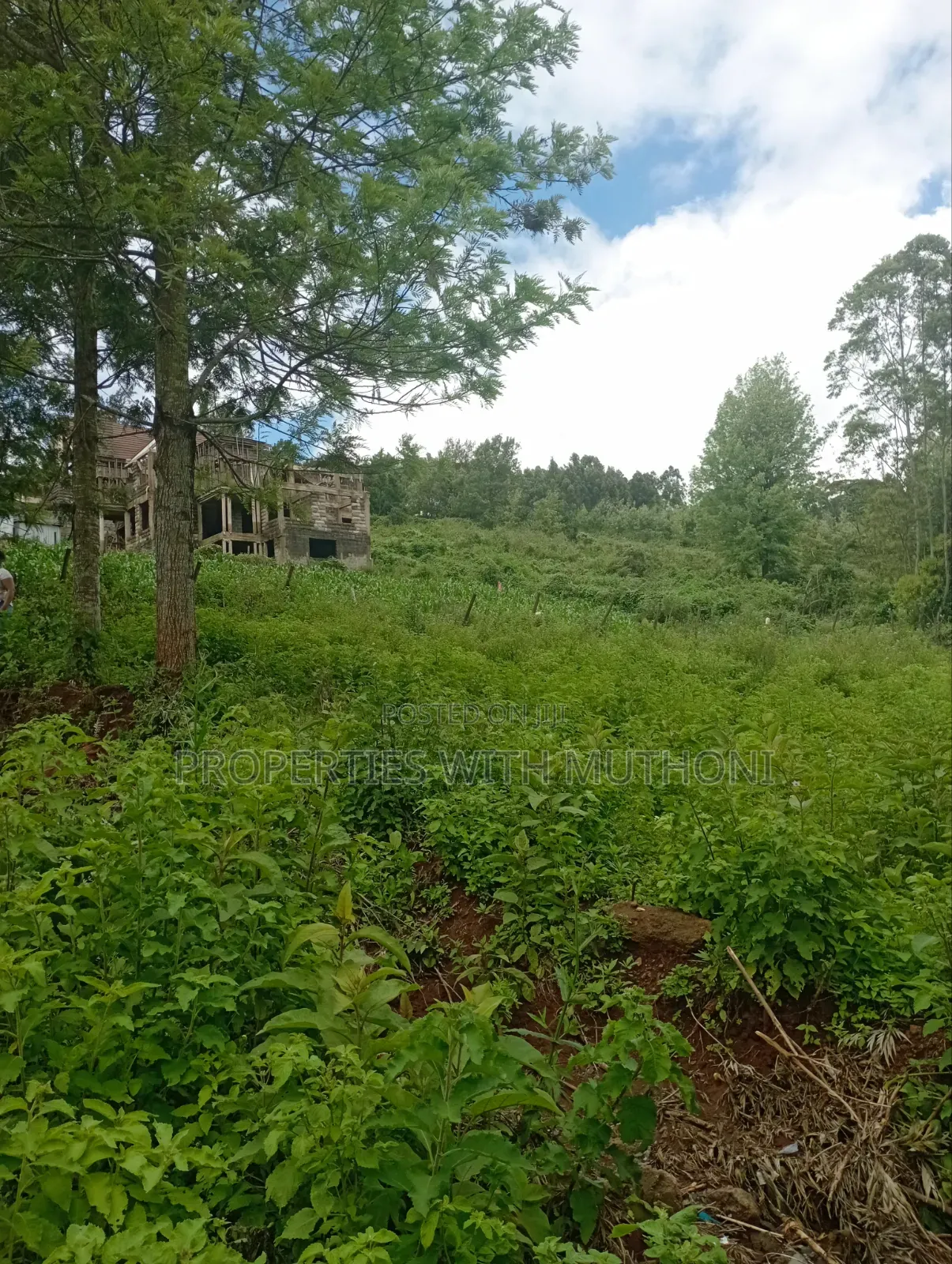 50×100 Plots in Kibiko Ngong.