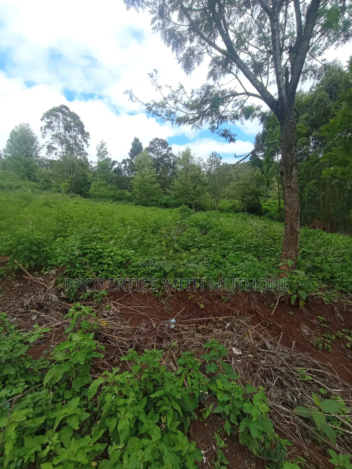 50×100 Plots in Kibiko Ngong.