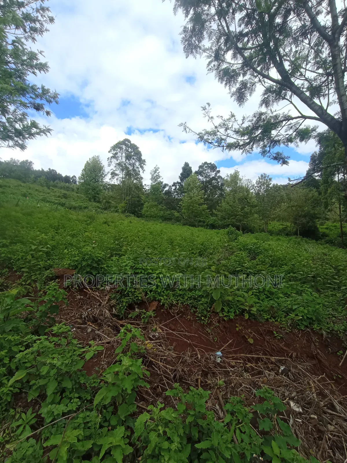 50×100 Plots in Kibiko Ngong.