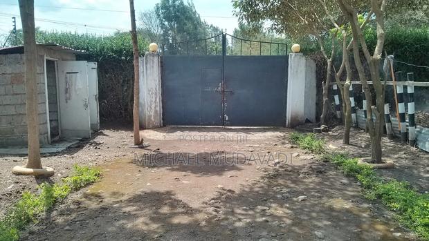 50 by 100 Plot on Sale
