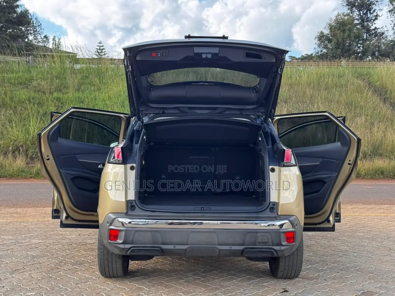 Peugeot 3008 2018 Gold