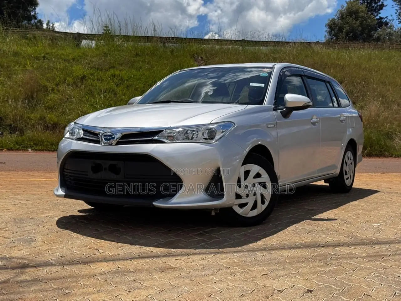 Toyota Corolla Fielder 2019