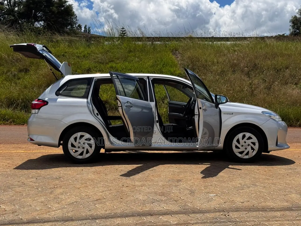 Toyota Corolla Fielder 2019