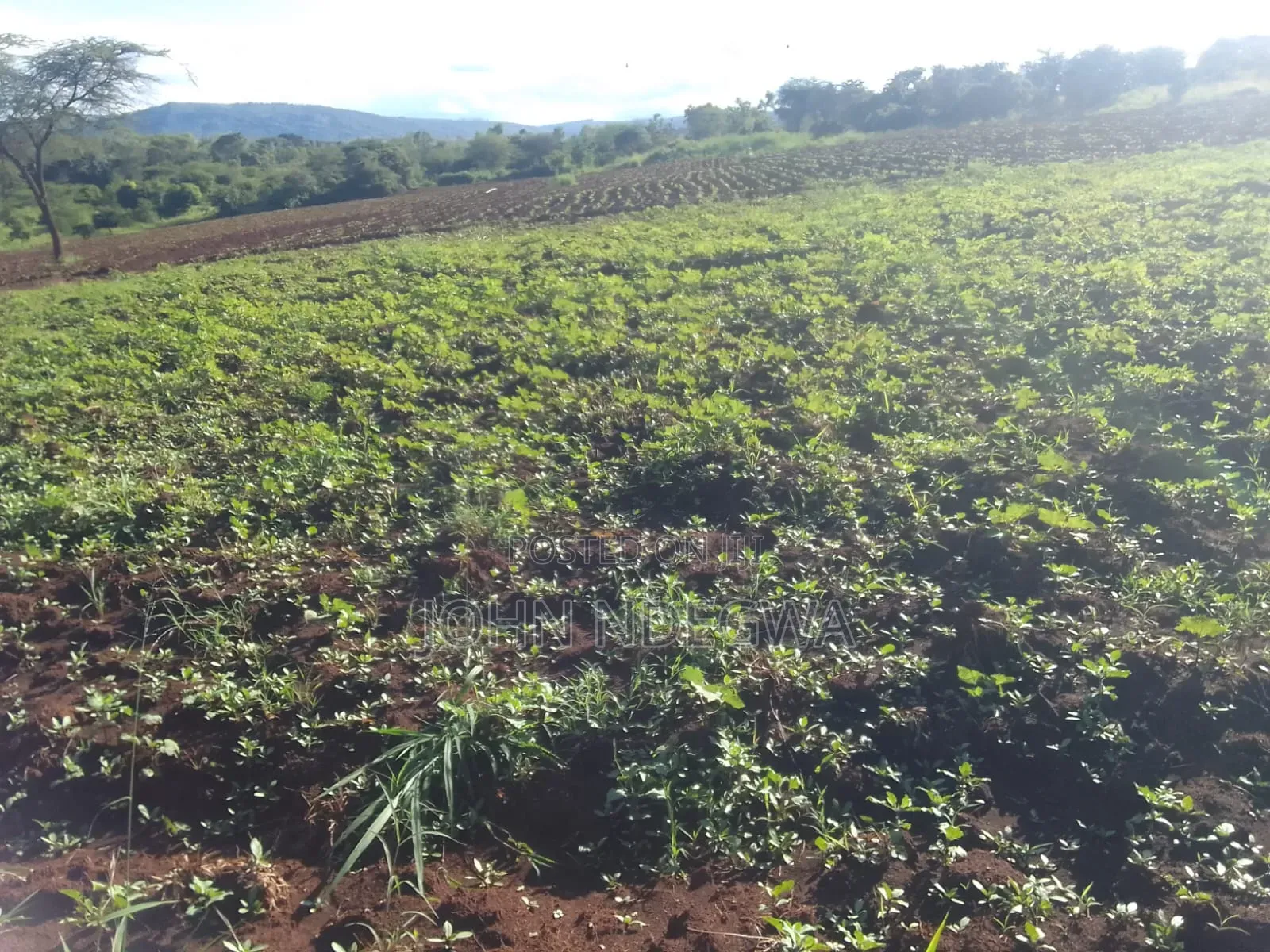 Mananja Land for Sale
