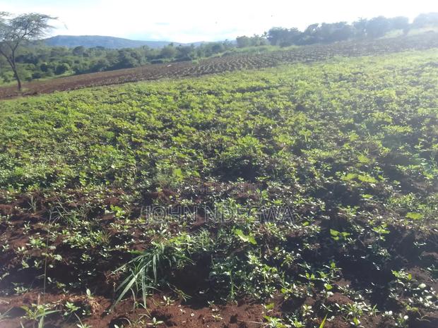 Mananja Land for Sale