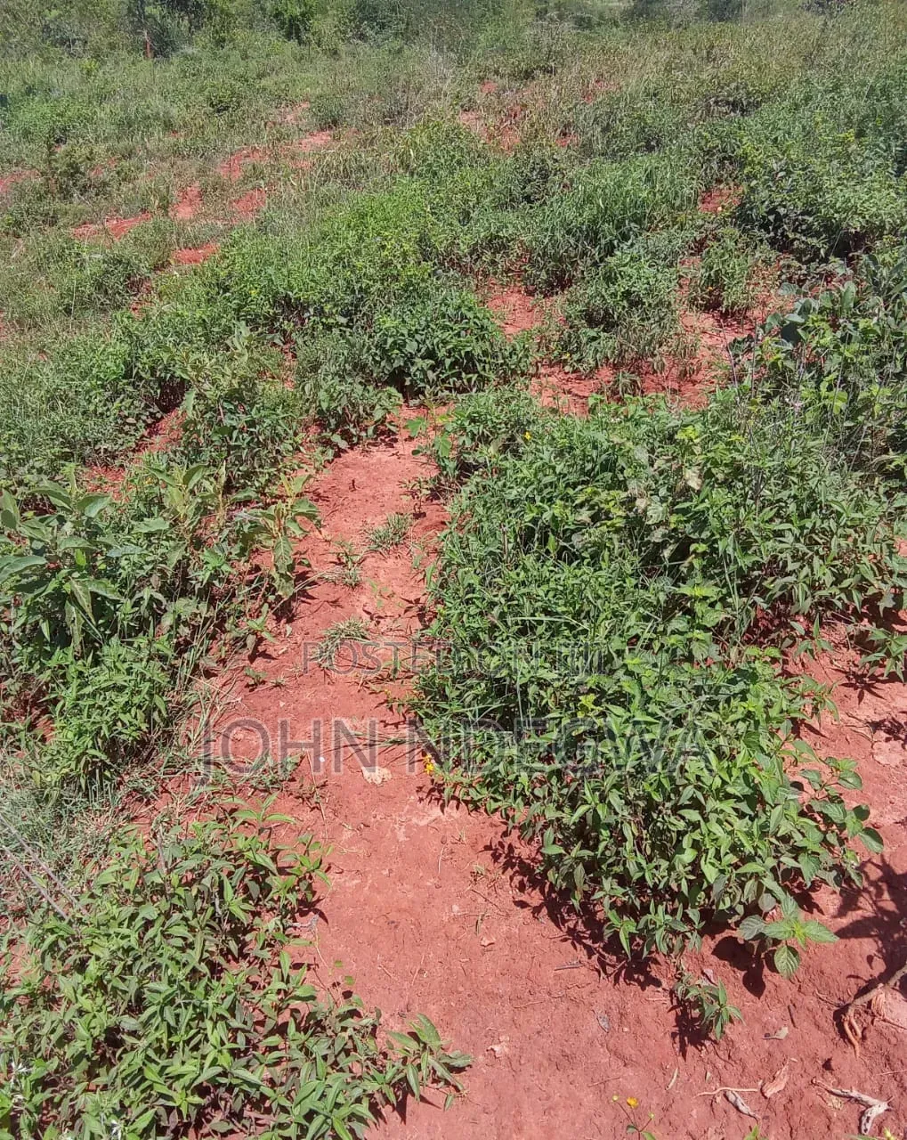 Mananja Land for Sale