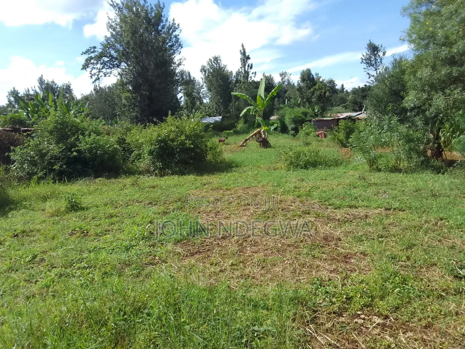 Mananja Land for Sale