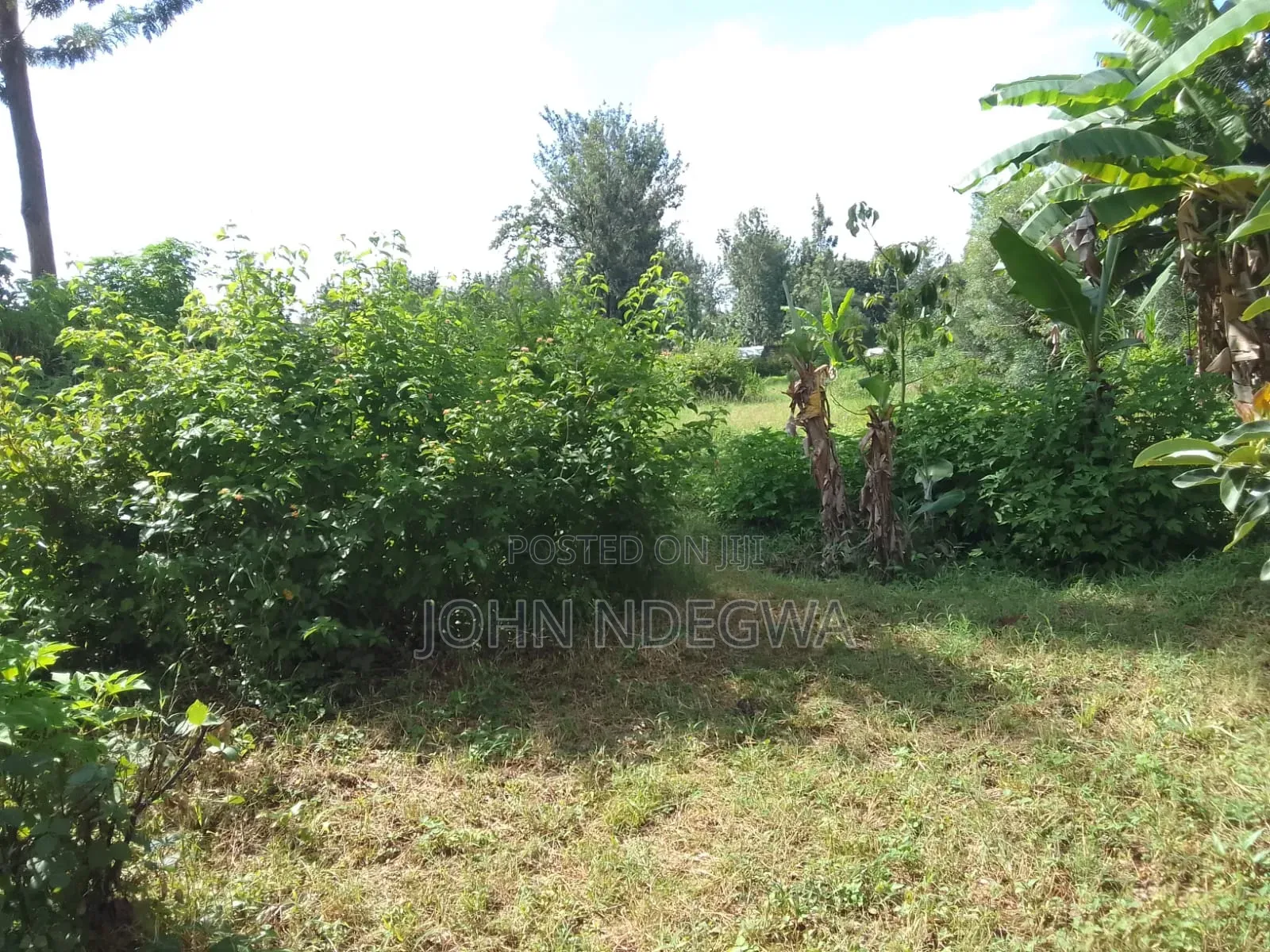 Mananja Land for Sale
