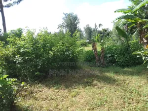 Mananja Land for Sale