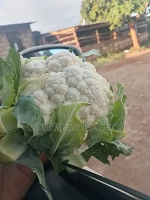 Fresh Broccoli