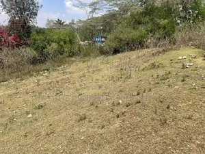 1 Acre Commercial Plot for Sale in Kiserian