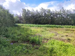 Plot (1⁄8) for Sale in Kibiko, Ngong