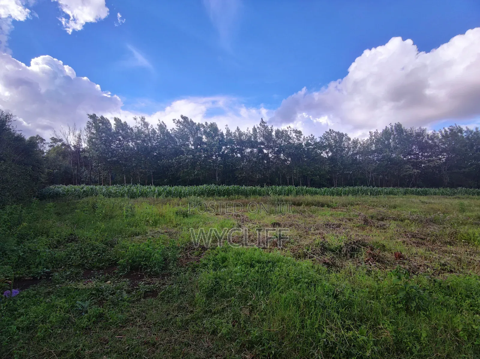 Plot (1⁄8) for Sale in Kibiko, Ngong