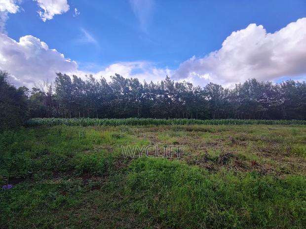 Plot (1⁄8) for Sale in Kibiko, Ngong - thumbnail 6