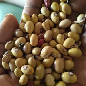Cereals Dry Food