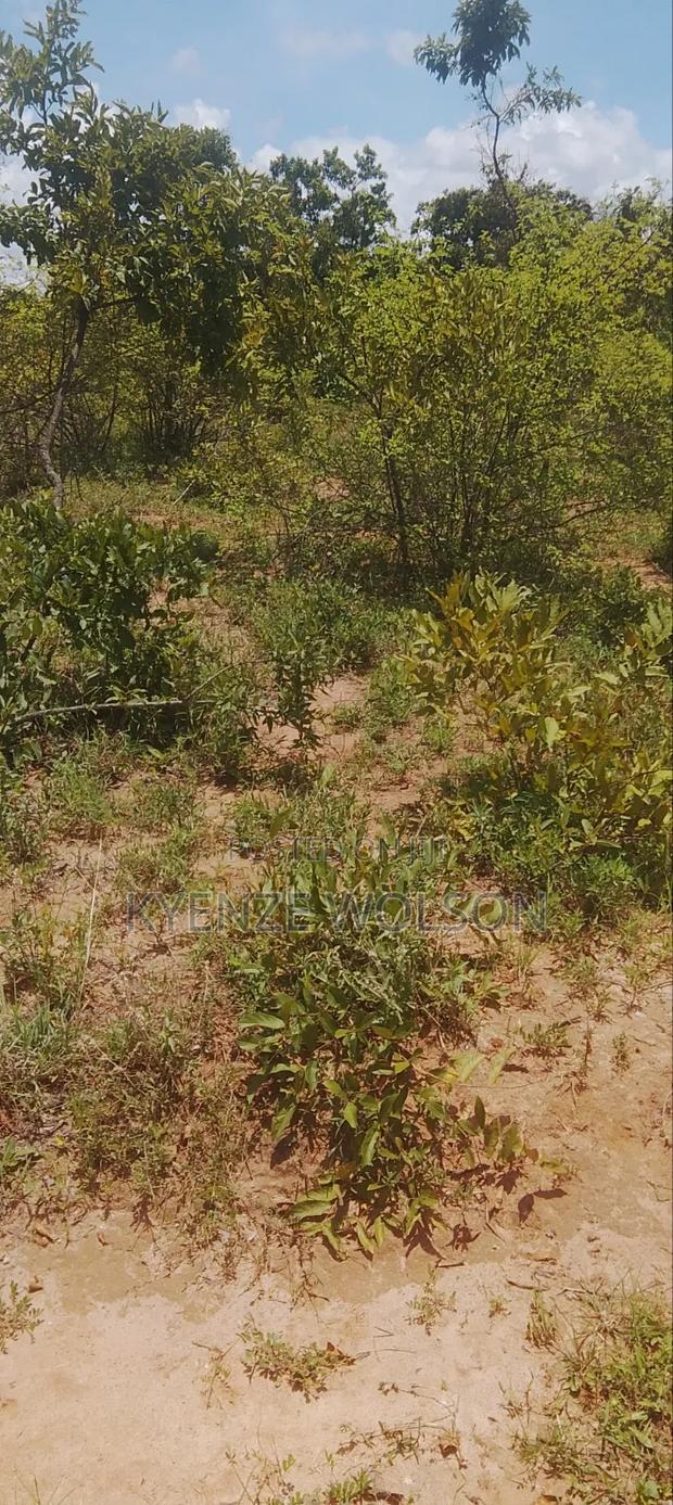 5 Prime Acres