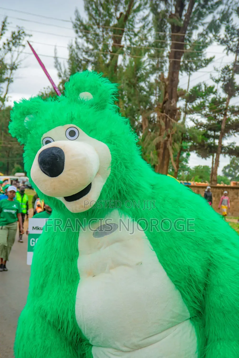 Mascots/ Bear for Hire