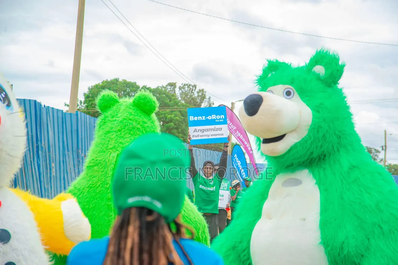 Bear Mascot Available for Hire