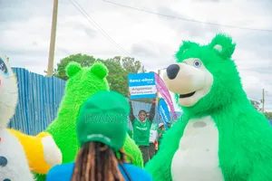 Bear Mascot Available for Hire